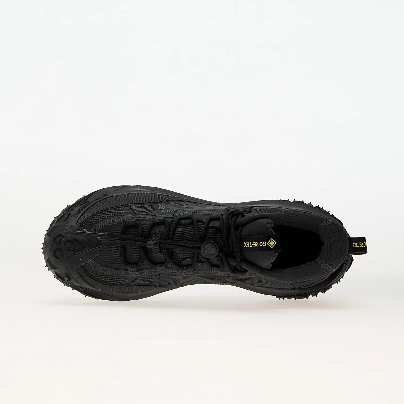 NIKE ACG MOUNTAIN FLY 2 LOW GORETEX