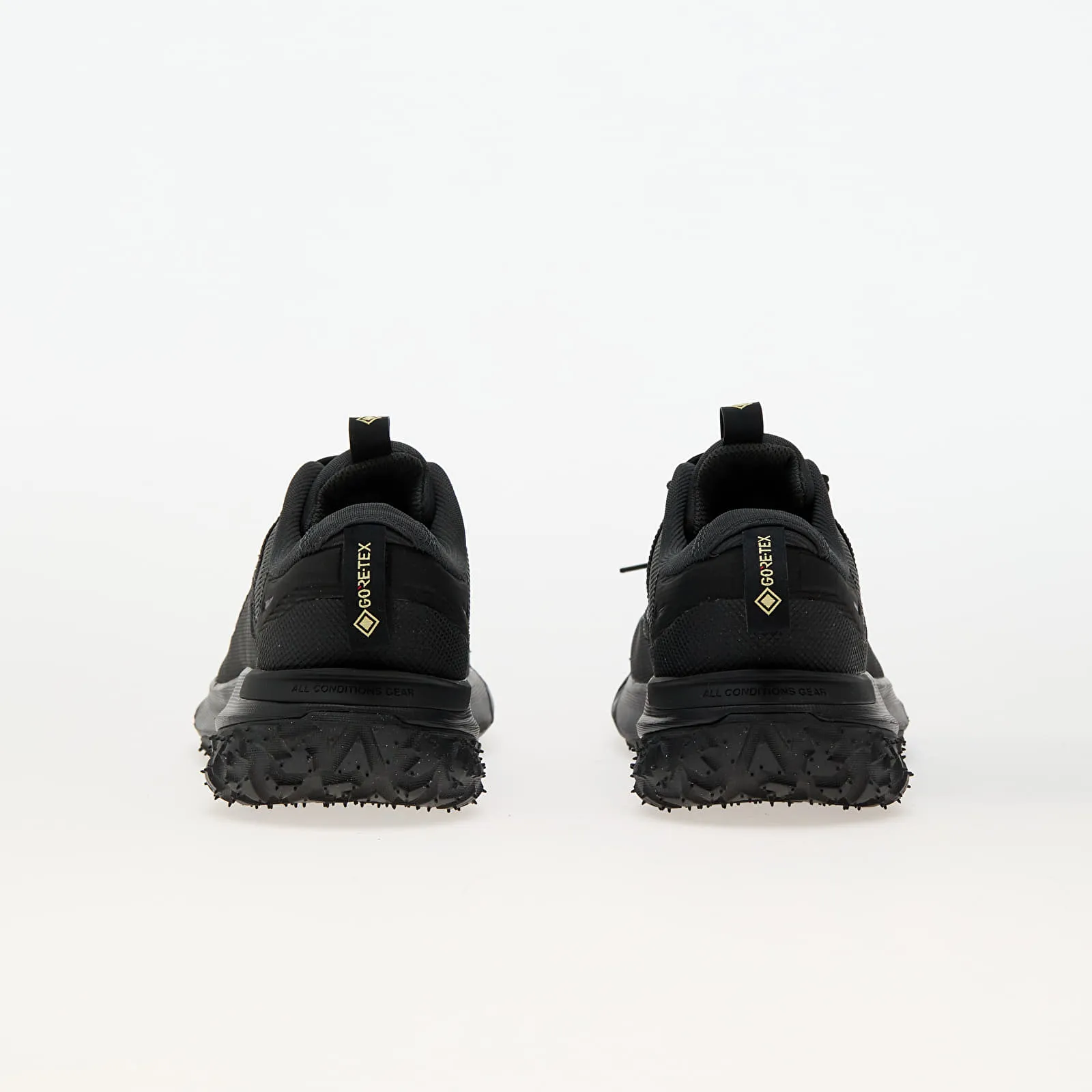 NIKE ACG MOUNTAIN FLY 2 LOW GORETEX