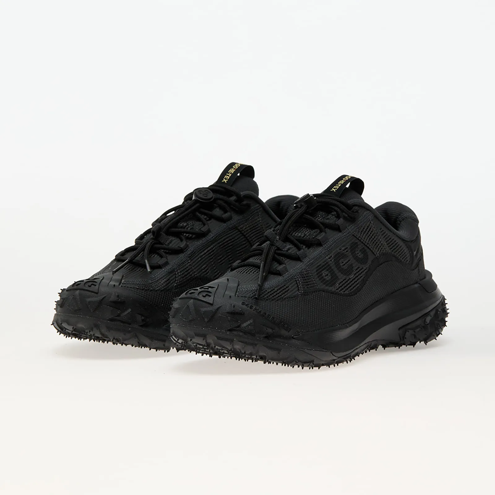 NIKE ACG MOUNTAIN FLY 2 LOW GORETEX